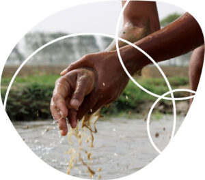 Close up of person washing their hands in a river